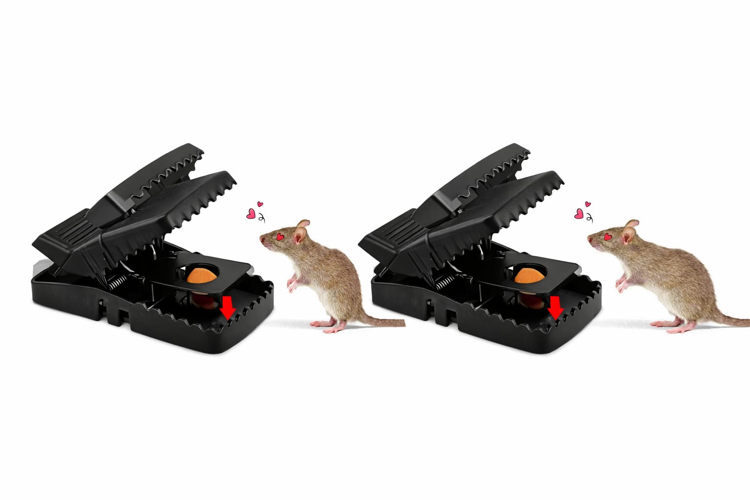 রেট কিলিং মেশিন ২ পিস